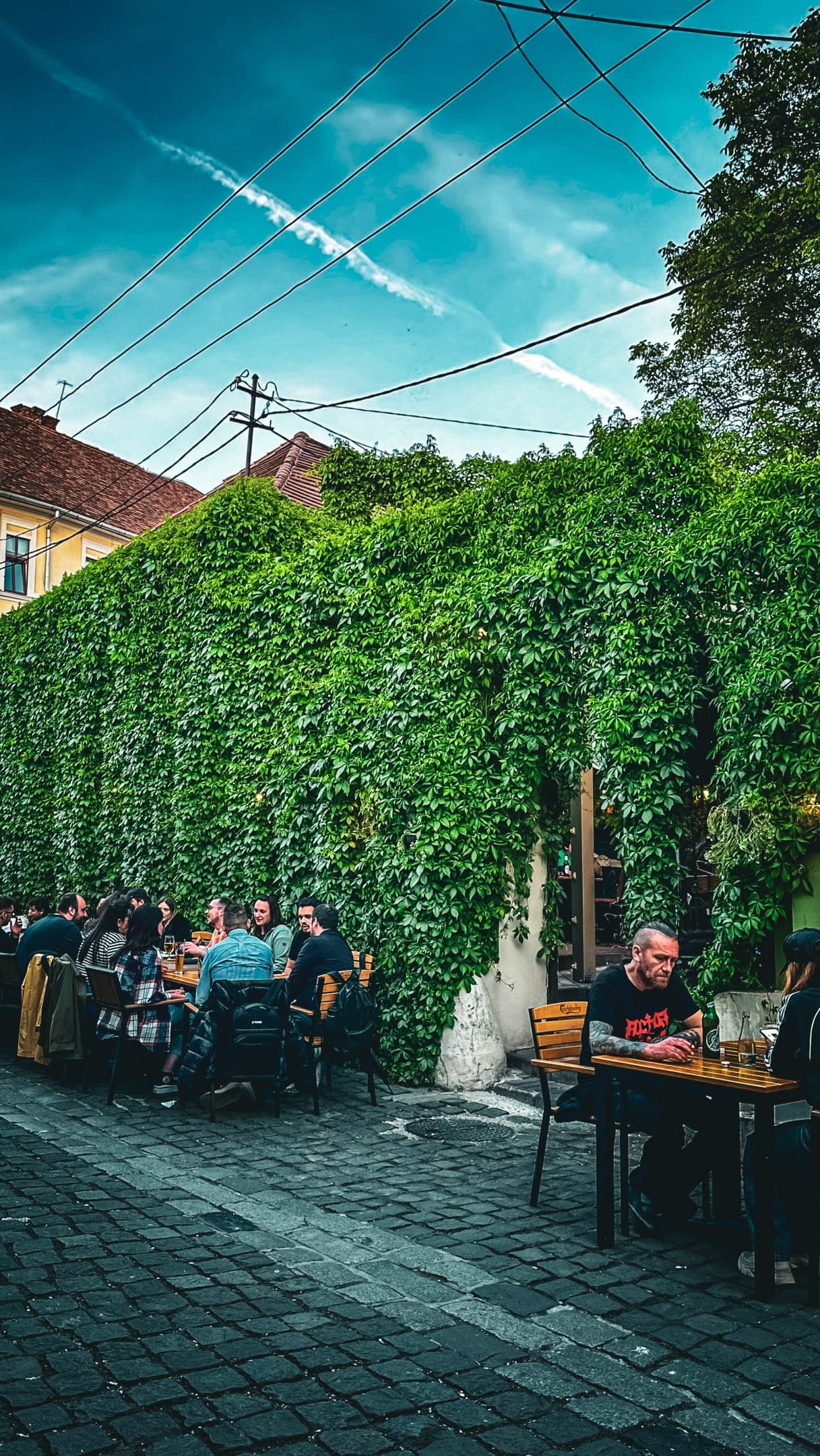 Terasa exterioară a pubului, cu plante verzi și mese la umbră